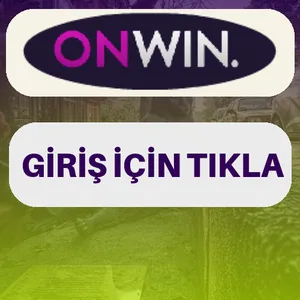 Onwin giriş